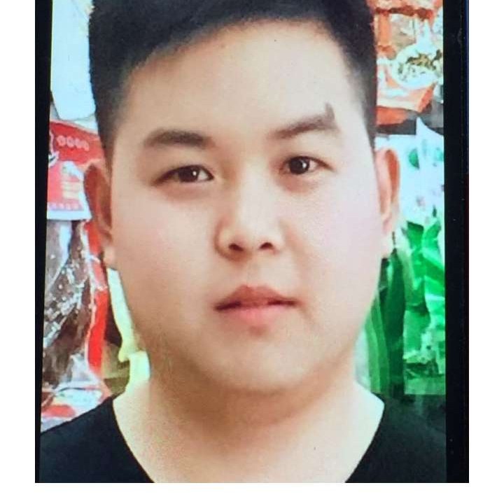 黄豆浅吻强健的照片