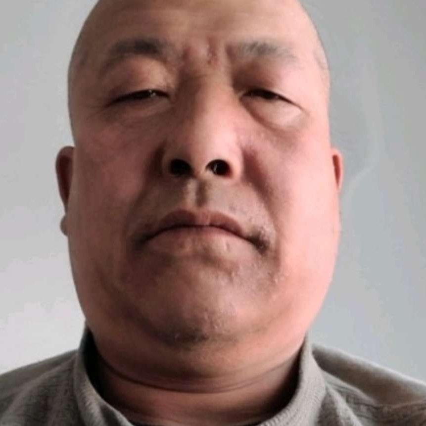 金毛高挑的照片