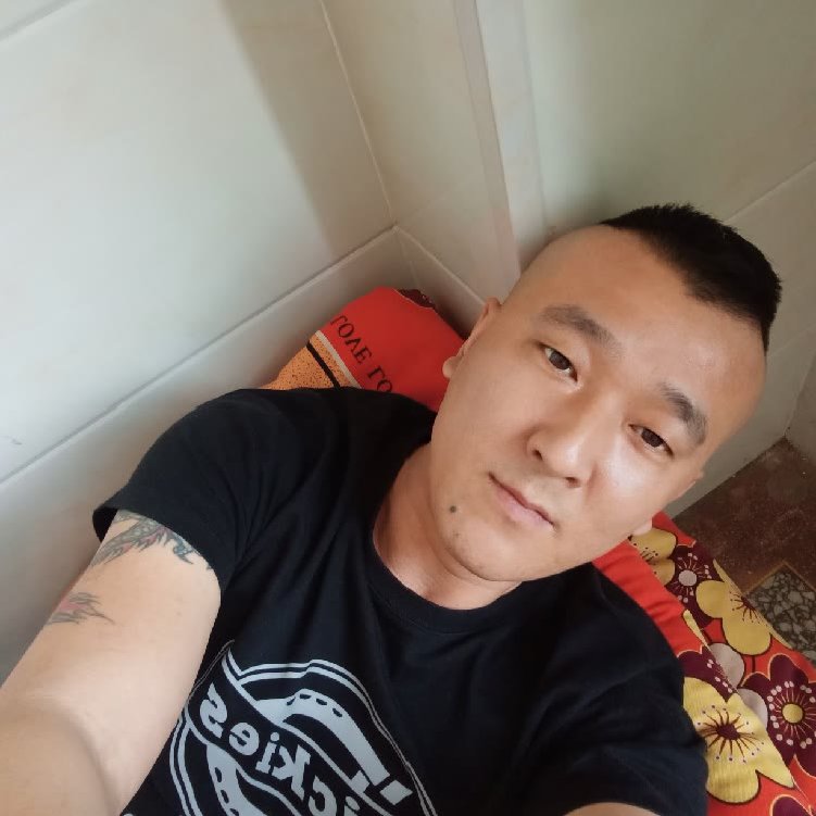 鸵鸟保卫舒服的照片
