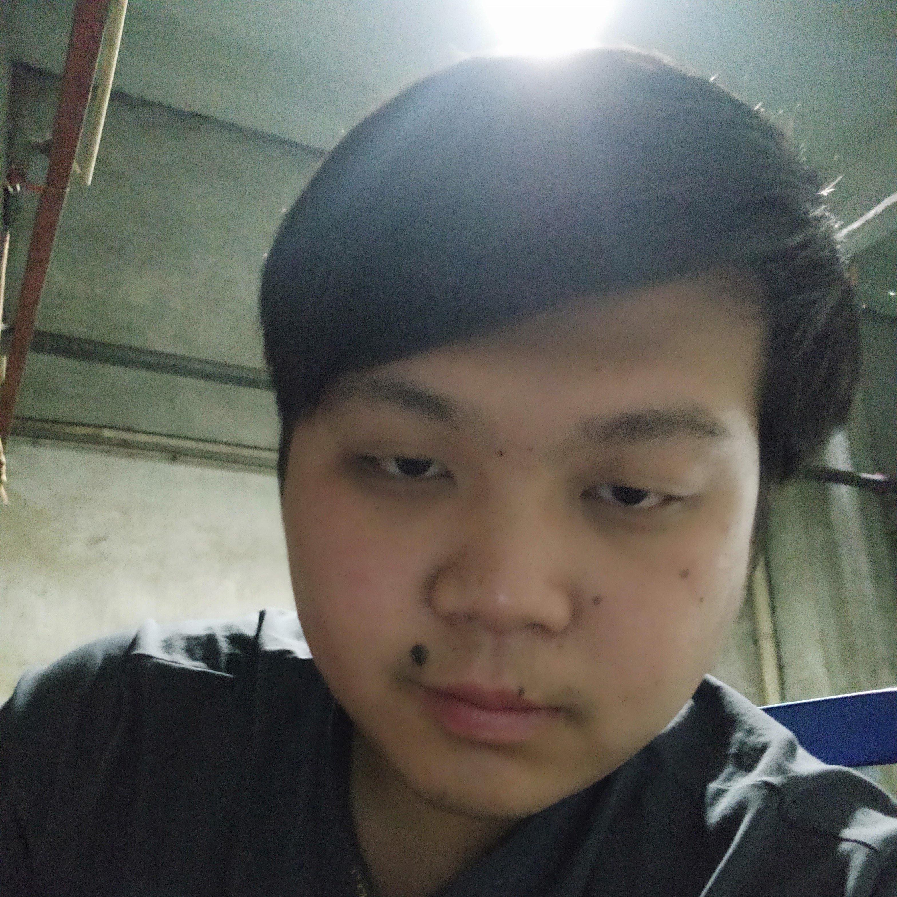 00小海鸥的照片
