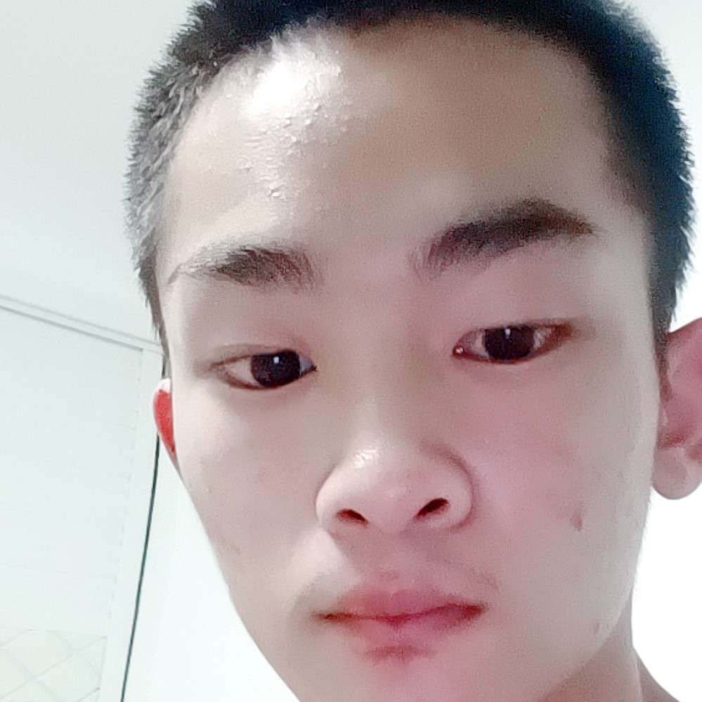 奋斗凝眸羊的照片