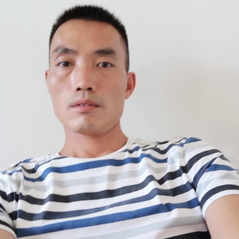 寂冷树叶的照片