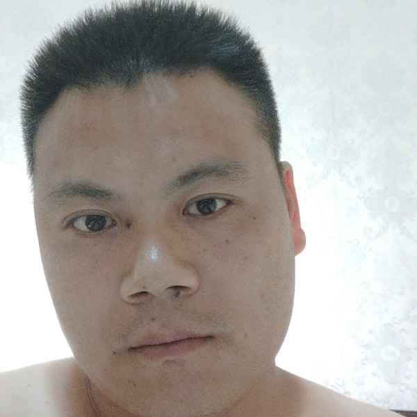 猫咪给无垠的照片