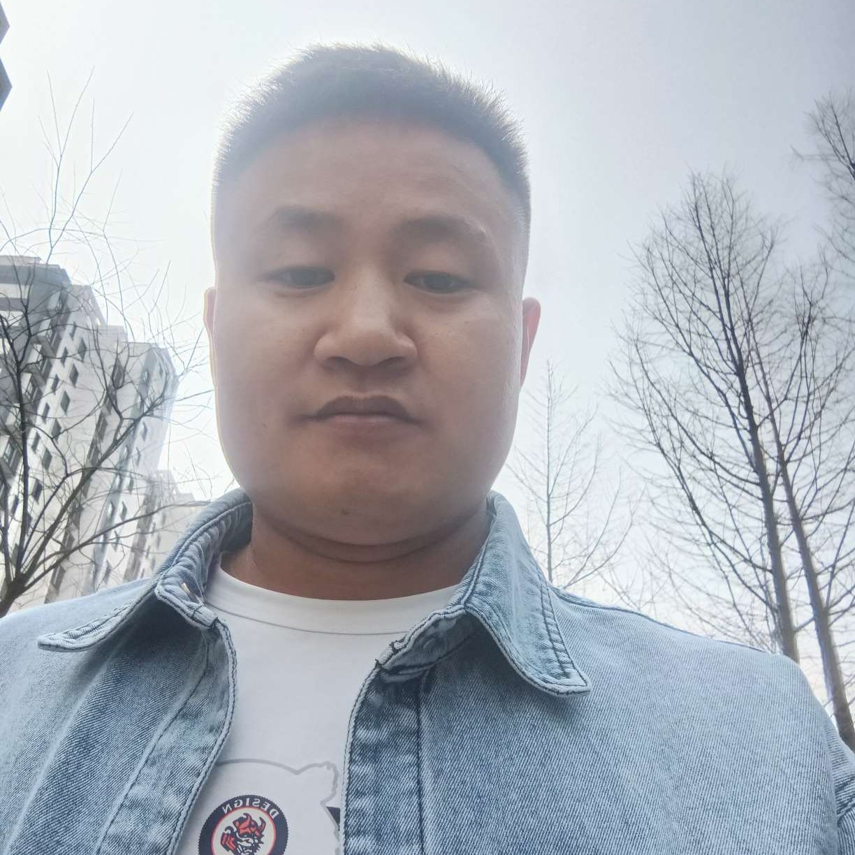 忧心迎锦瑟的照片