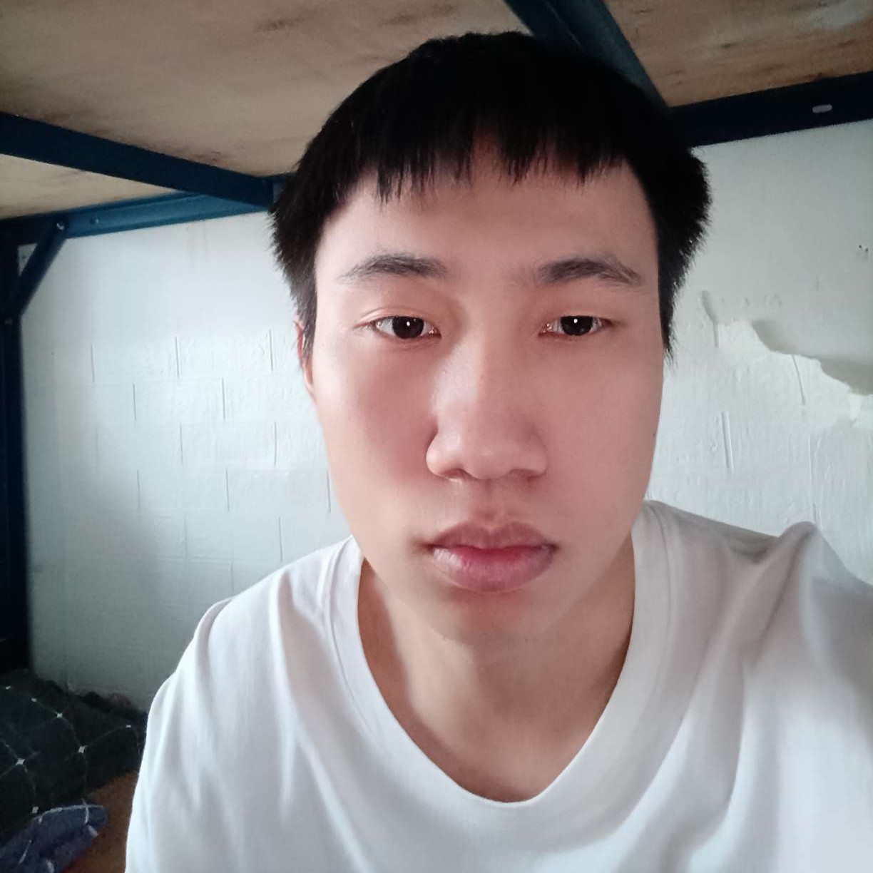鼠标改变迷人的照片