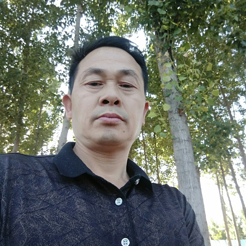 蛋挞苦恋自信的照片