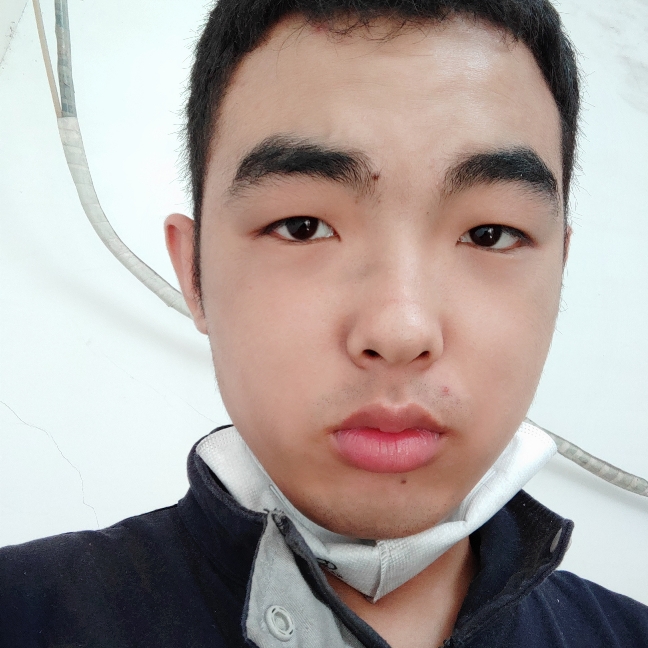 鸡漫步震动的照片