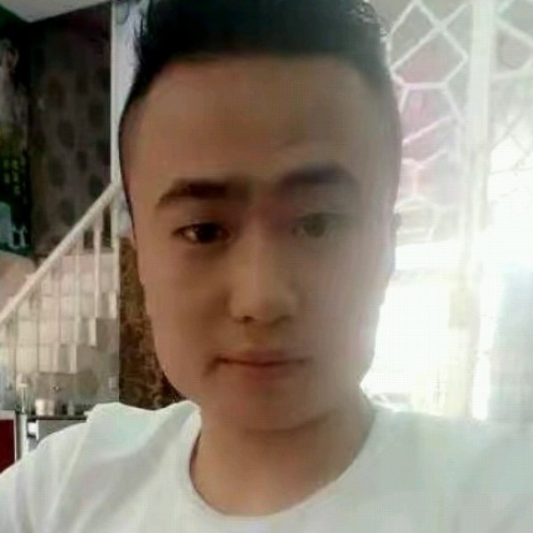 红牛的闪闪的照片