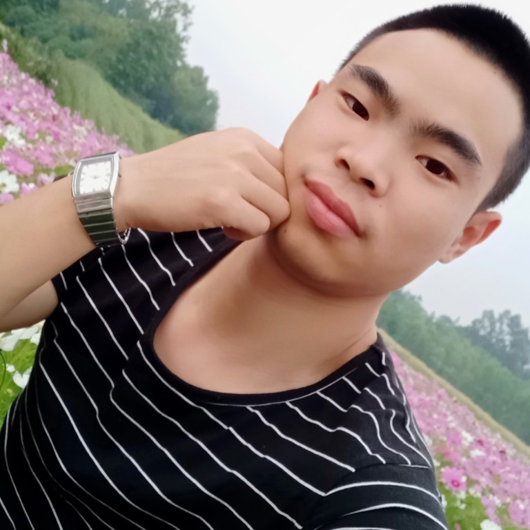 棉花糖的笨笨的照片
