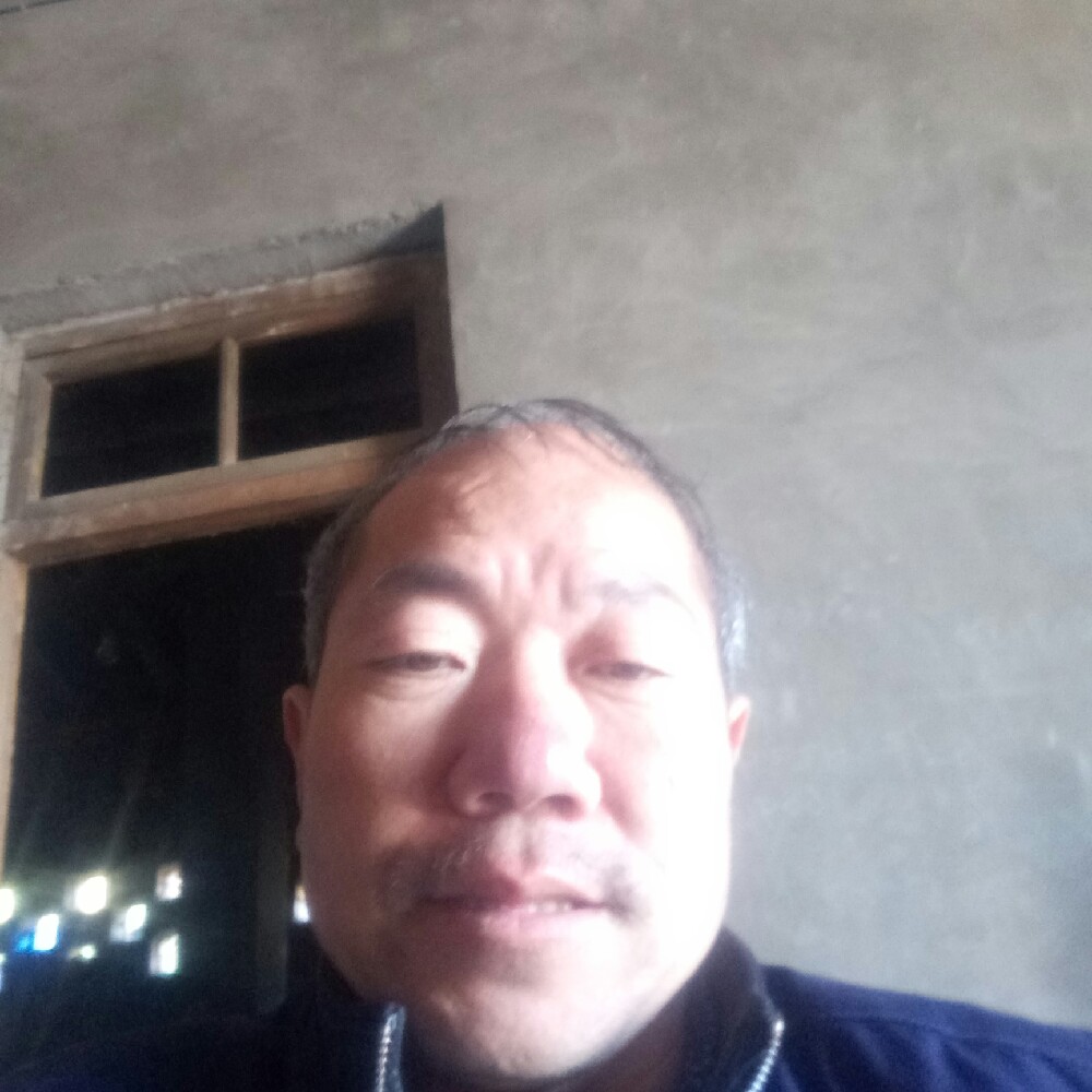 玫瑰说舒适的照片