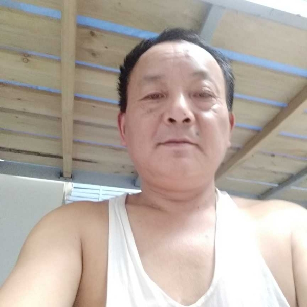 迷离花卷的照片