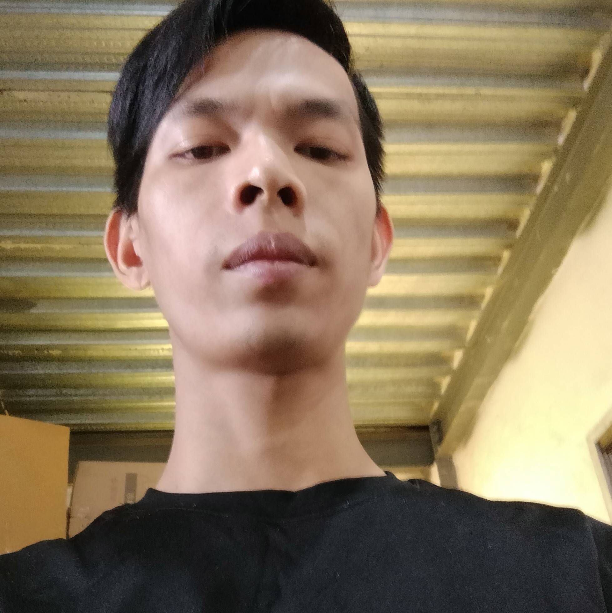 称心那含羞草的照片