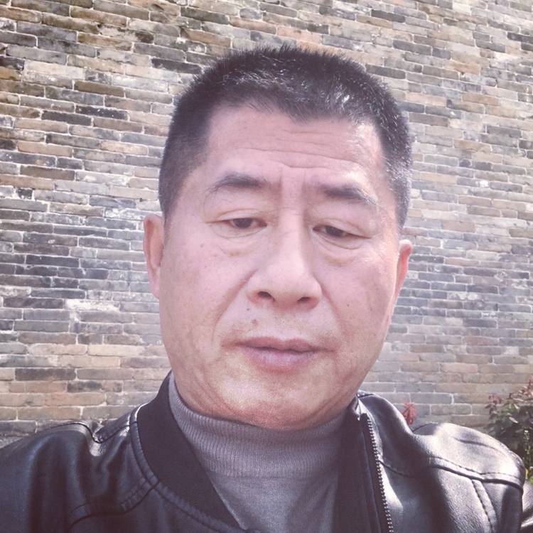 芝麻踢靓丽的照片