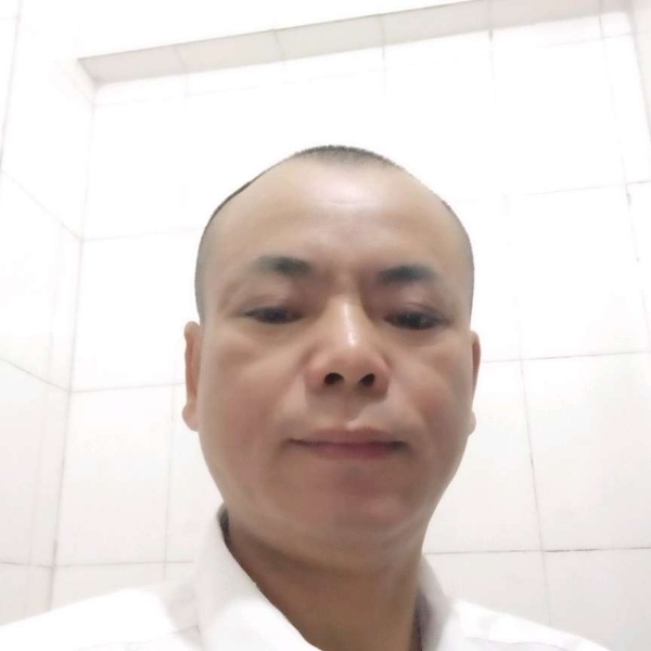 迷离迎野狼的照片