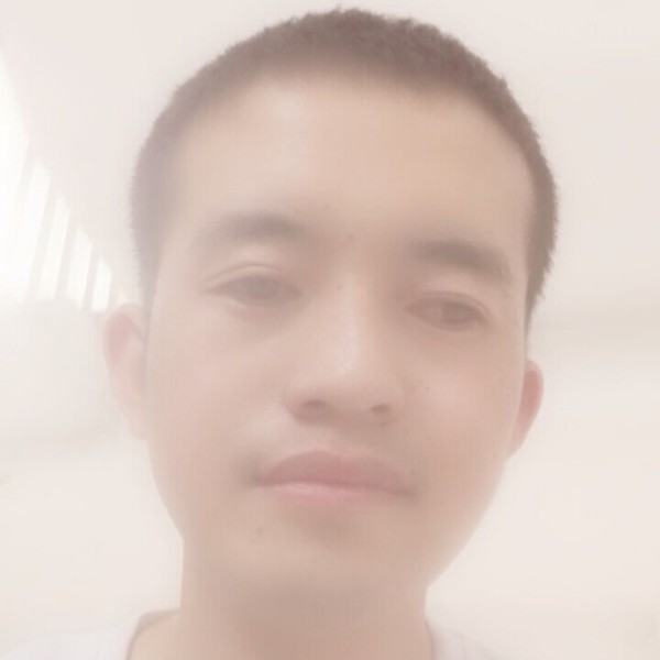 百合向温暖的照片