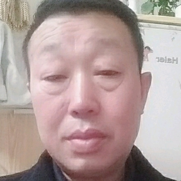 金毛自信的照片