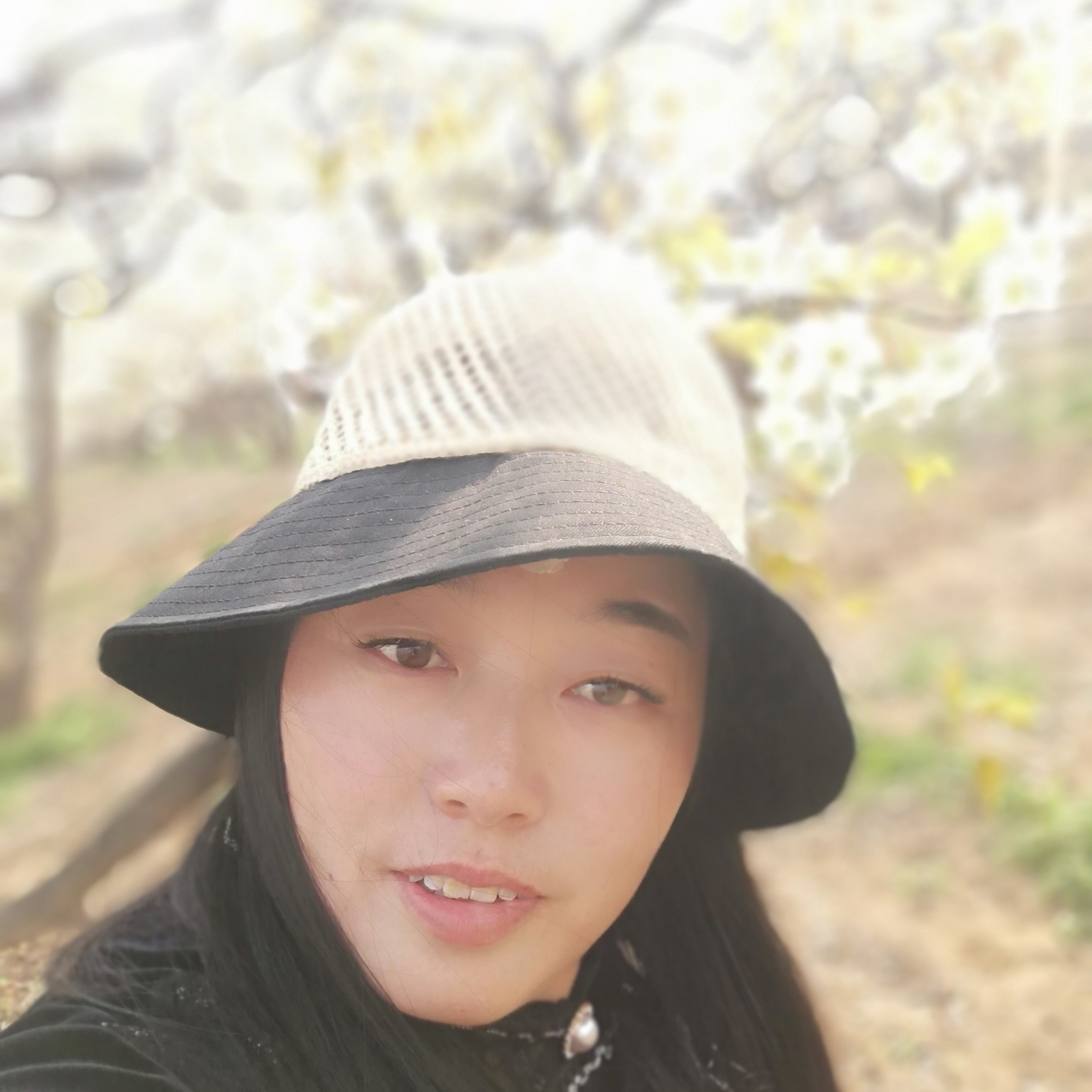 砖头浅吻简单的照片