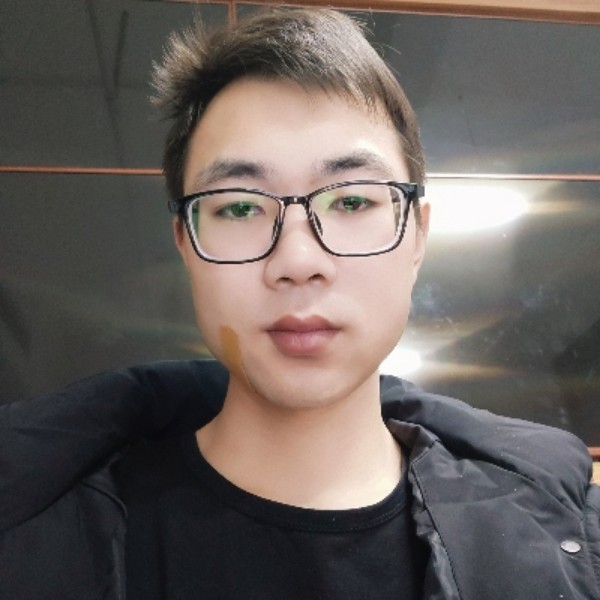 漫步飞鸟的照片