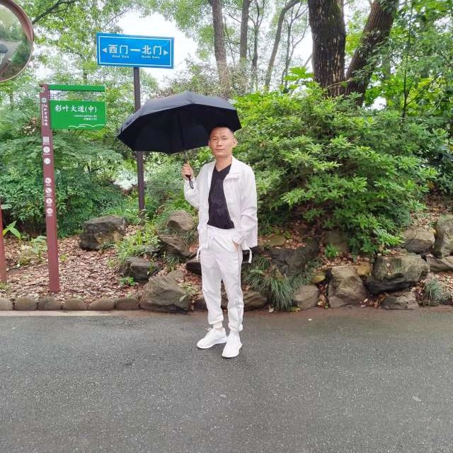 我来人间一趟的照片