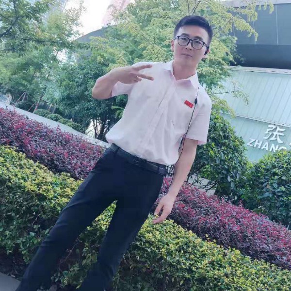 太阳迷路的照片