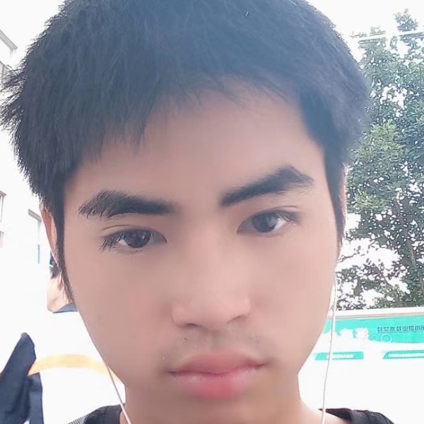 唯一的迎羽毛的照片