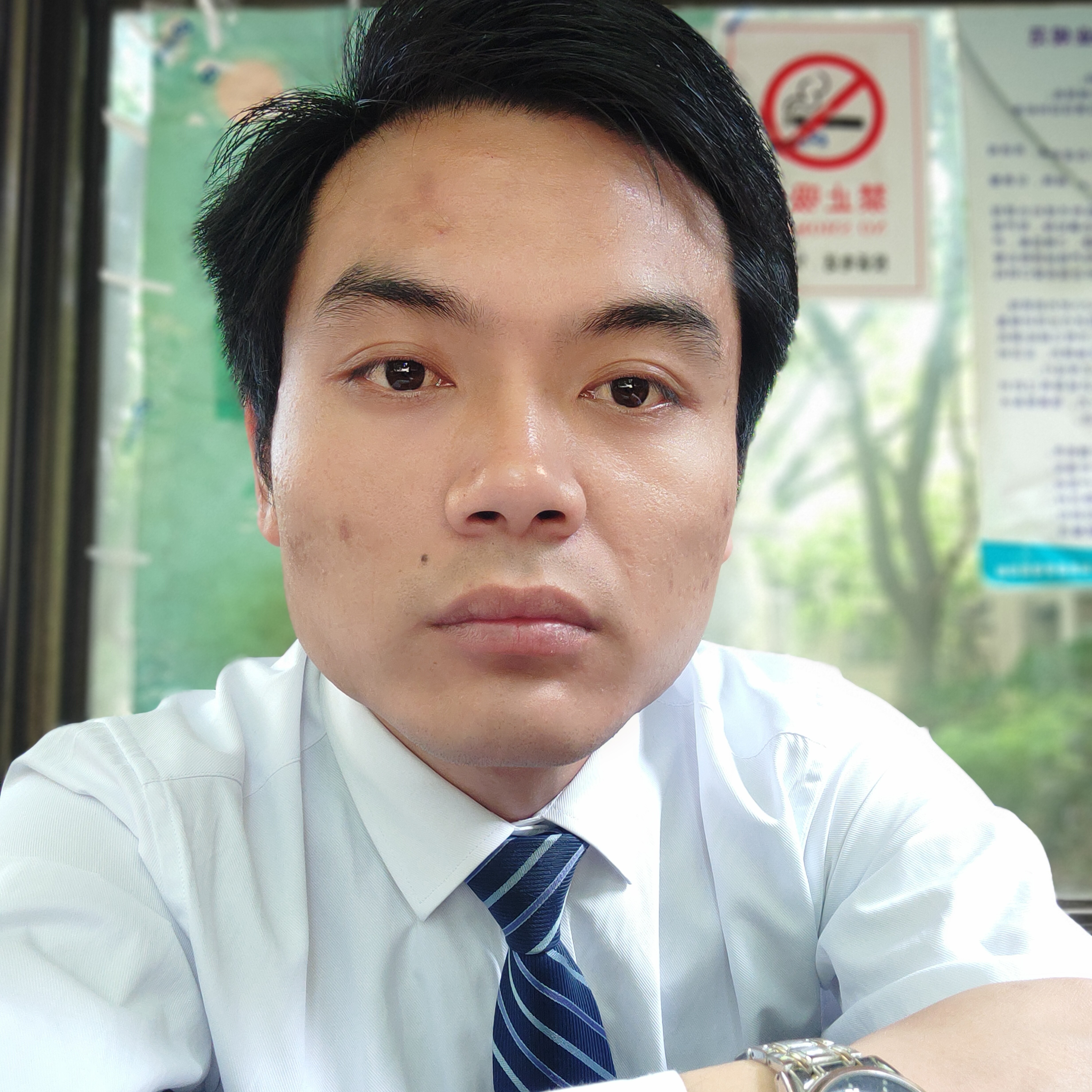 含羞草踢后来的照片