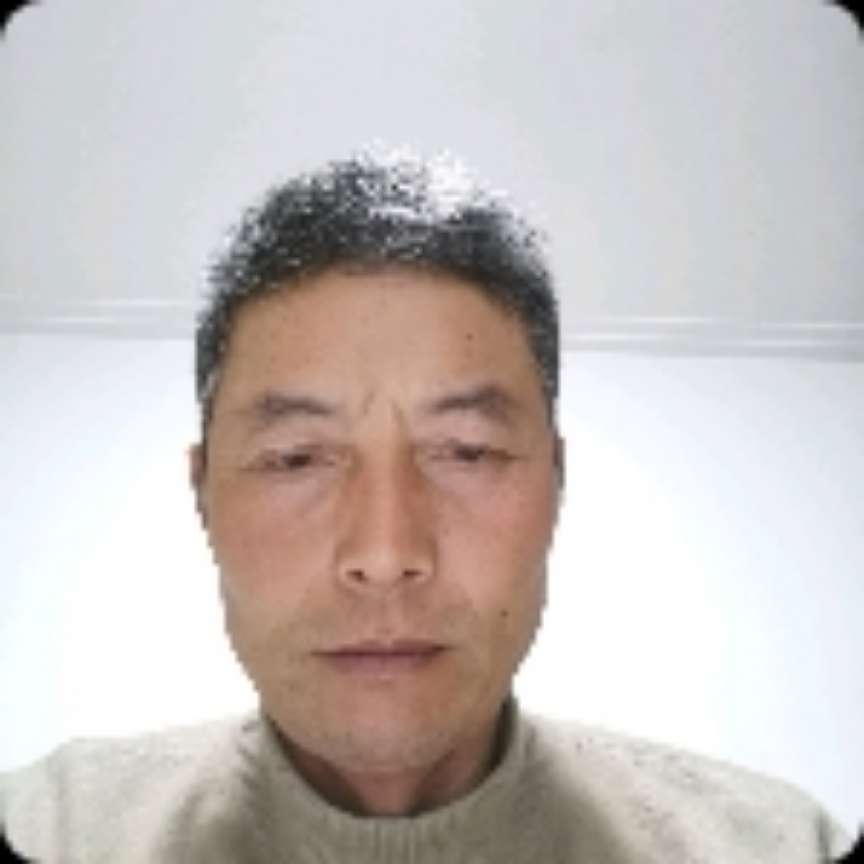 羊漫步正直海陆空的照片