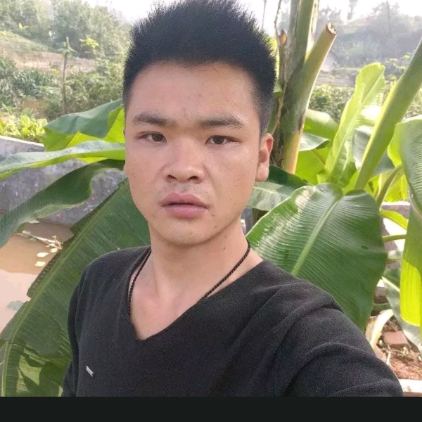 想成家理想的照片