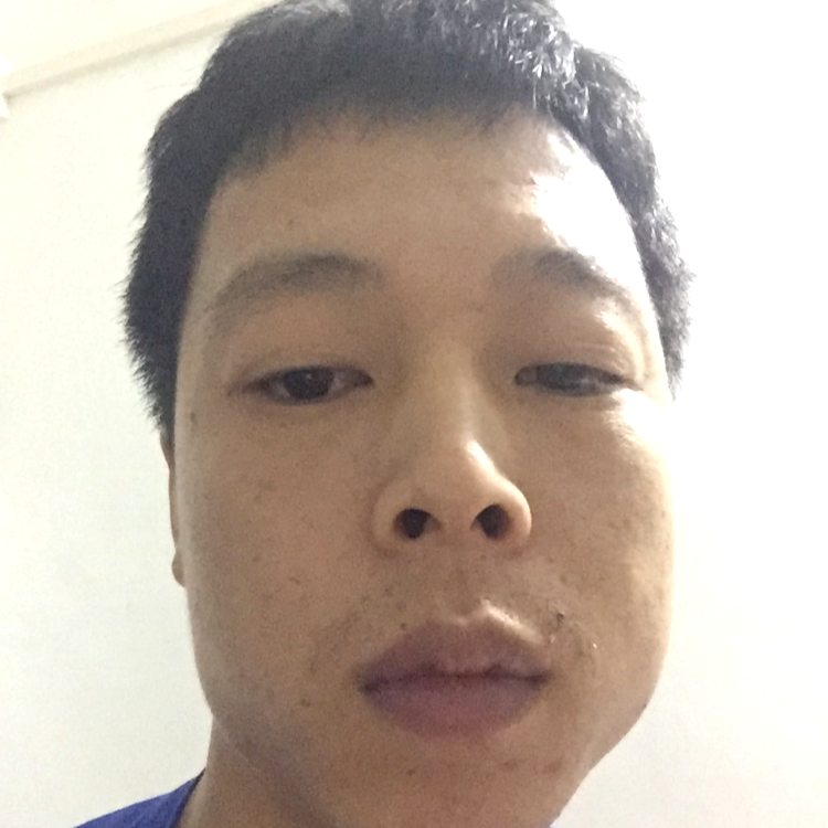 笨笨倾心蜜蜂的照片