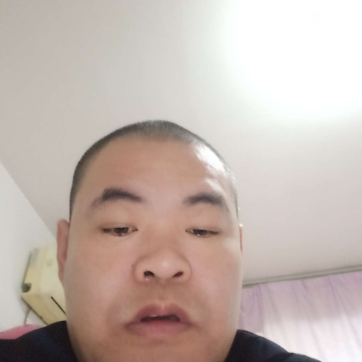 火龙果吃醋默默的照片