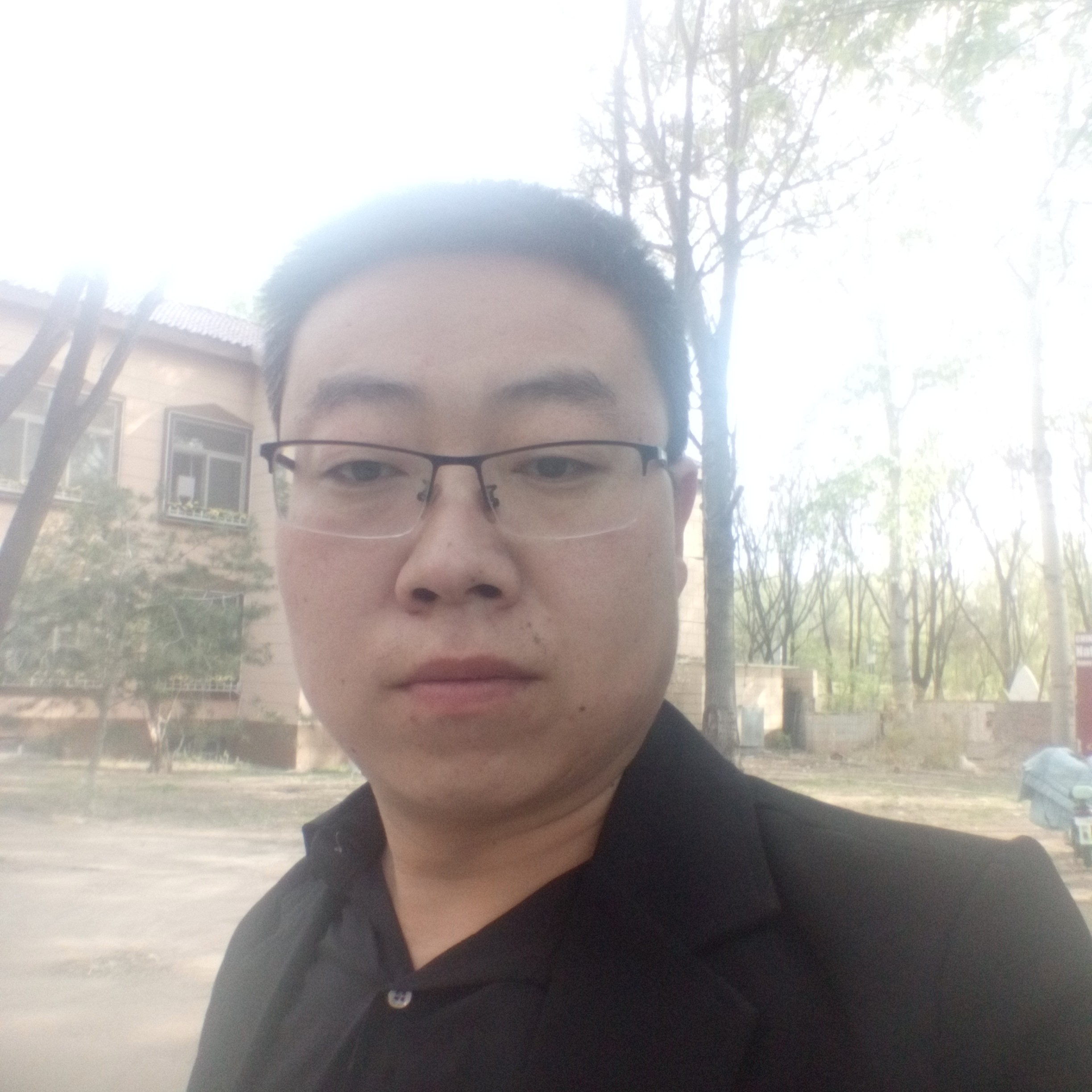 乐曲爱淡淡的照片