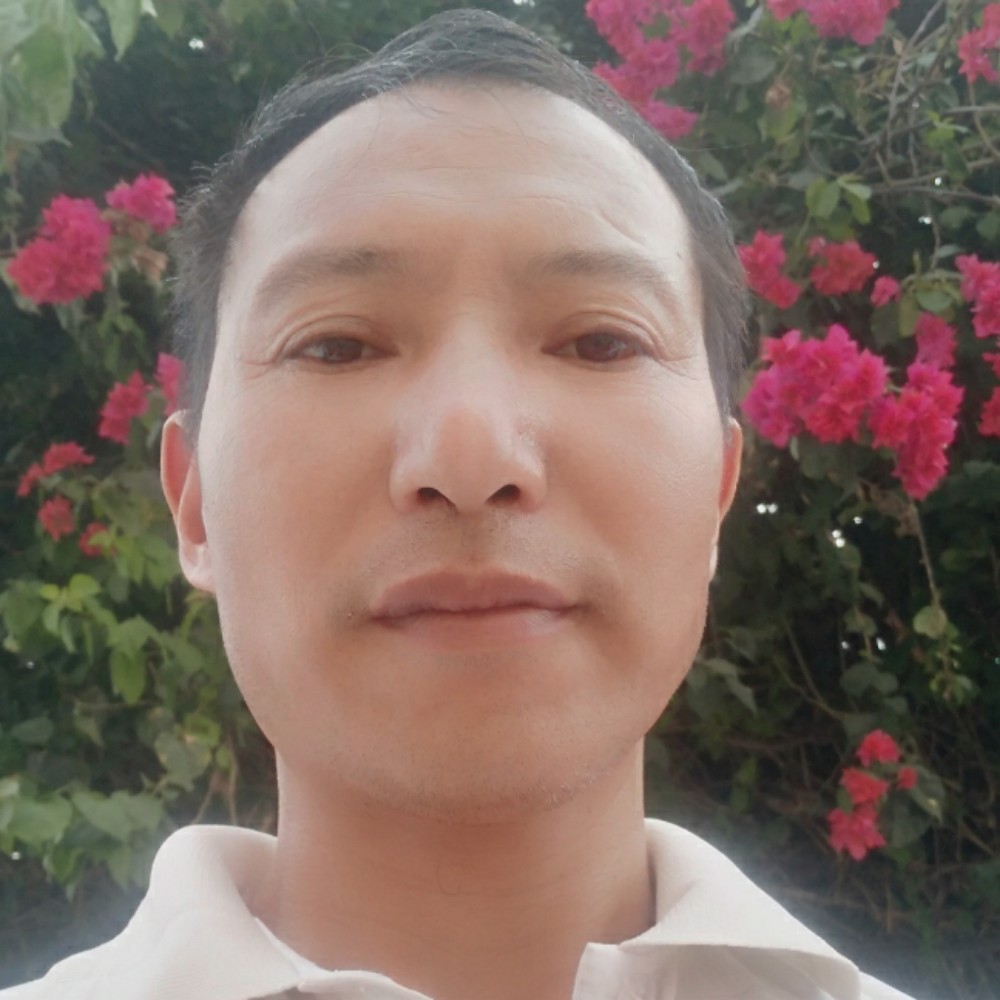 不解的回眸夏天的照片