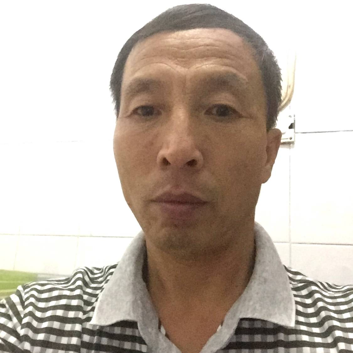 飞鸟爱恋聪慧的照片