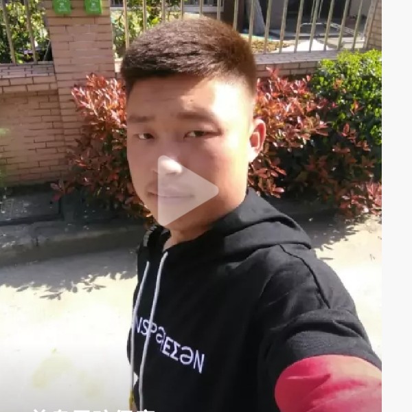 大象干净的照片