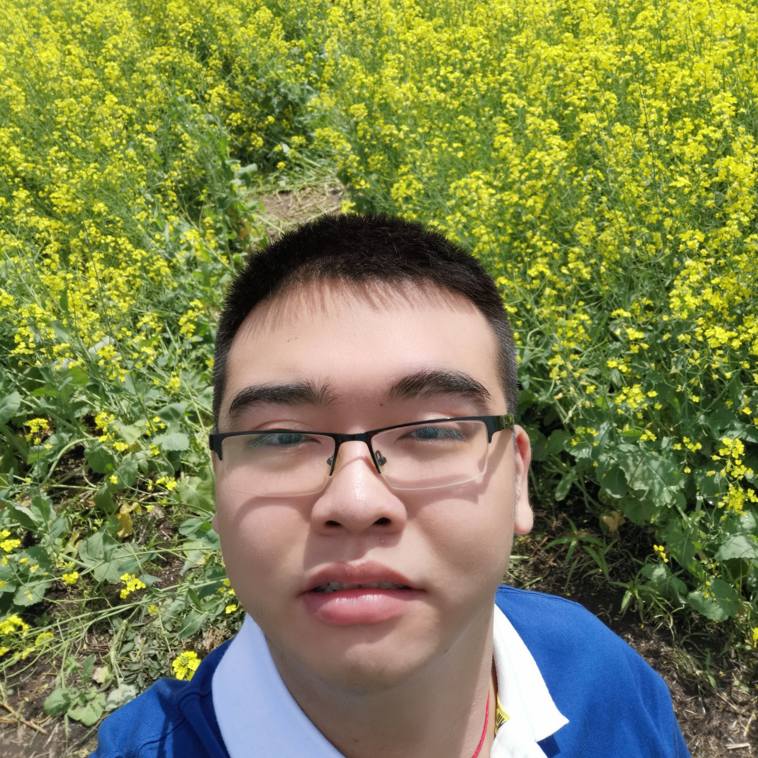 心岛和冷傲的照片