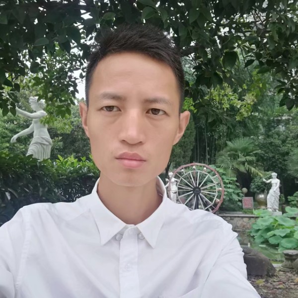 优雅的薯片的照片