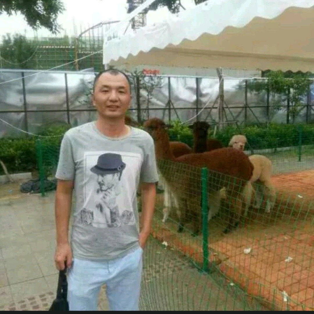 义涛哥的照片