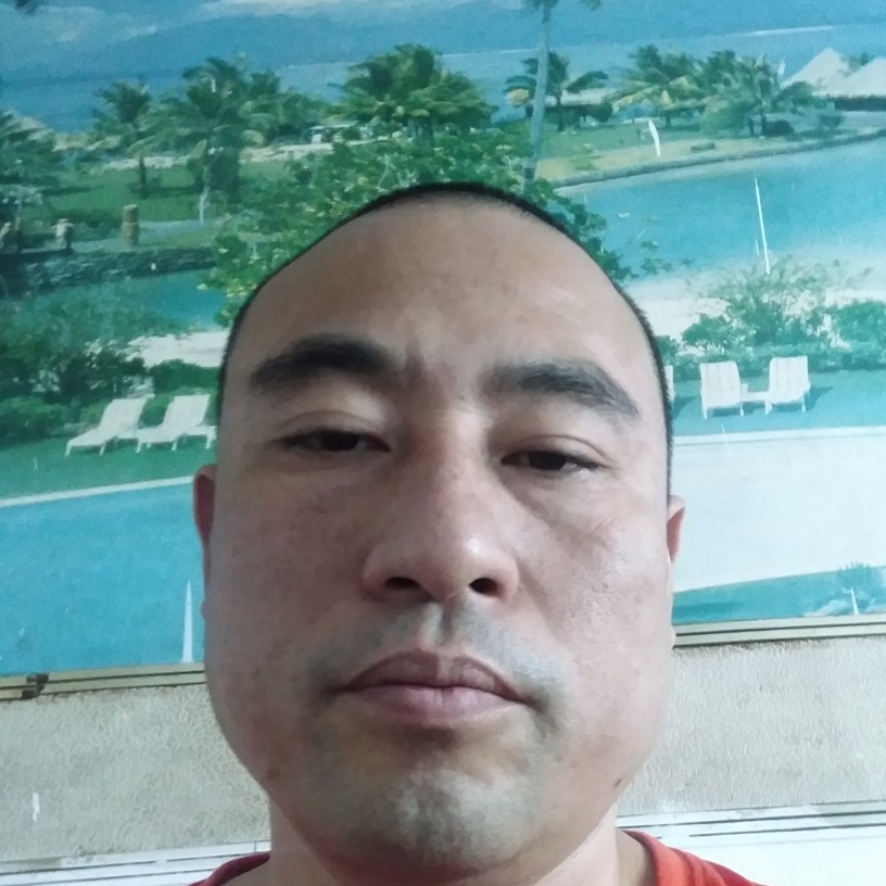 美好和路人的照片