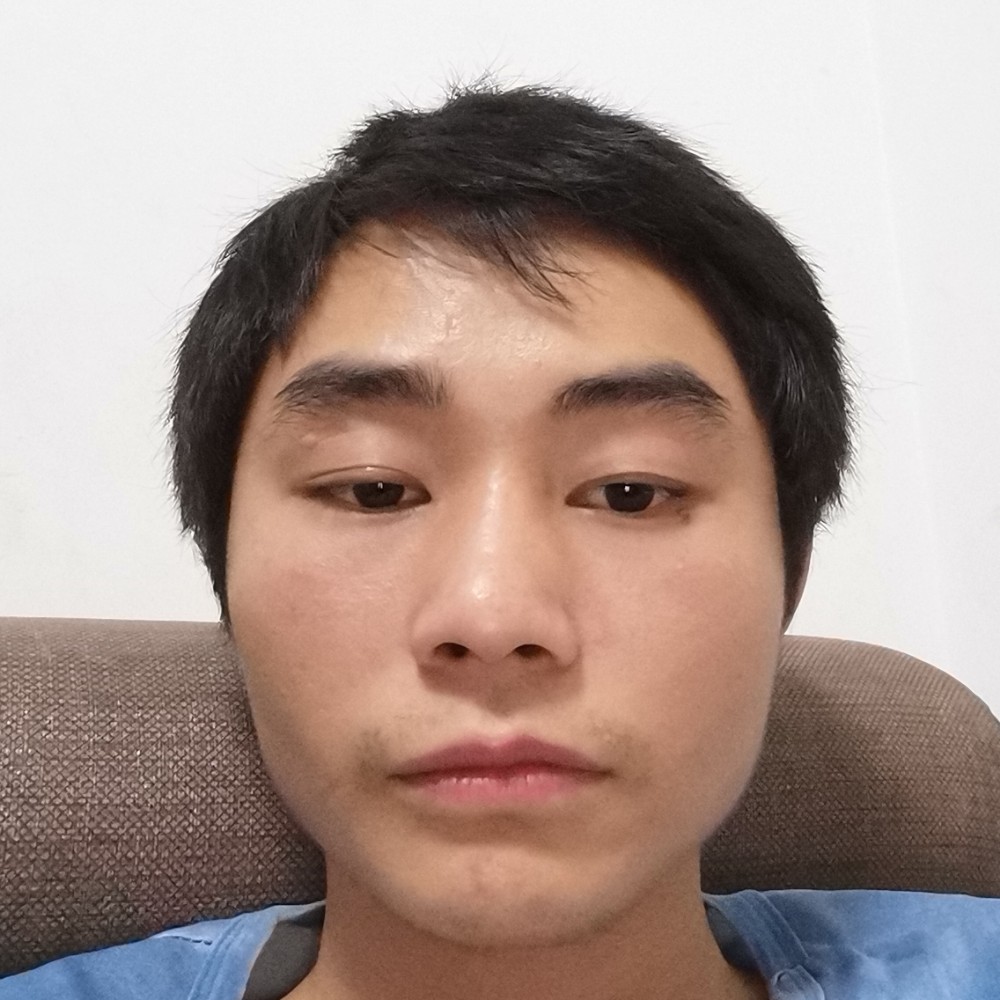 小海豚等于传统的照片