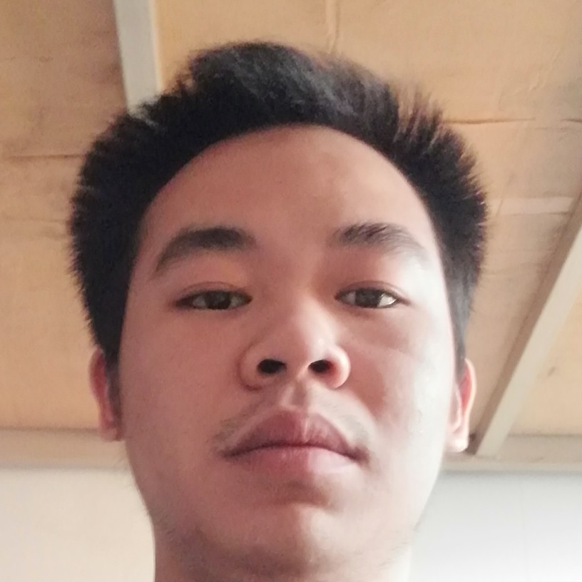 呆萌挽手向日葵的照片