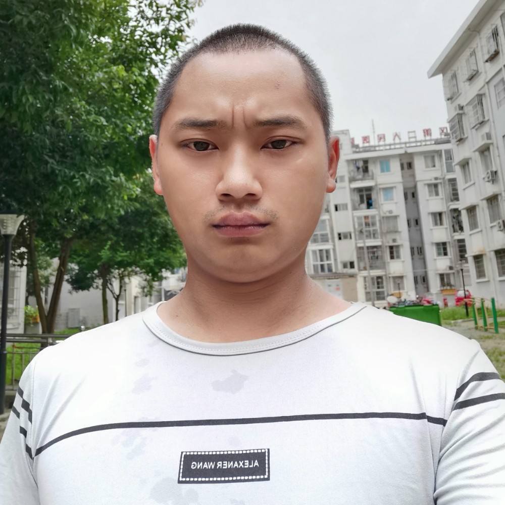 友好与醉月的照片