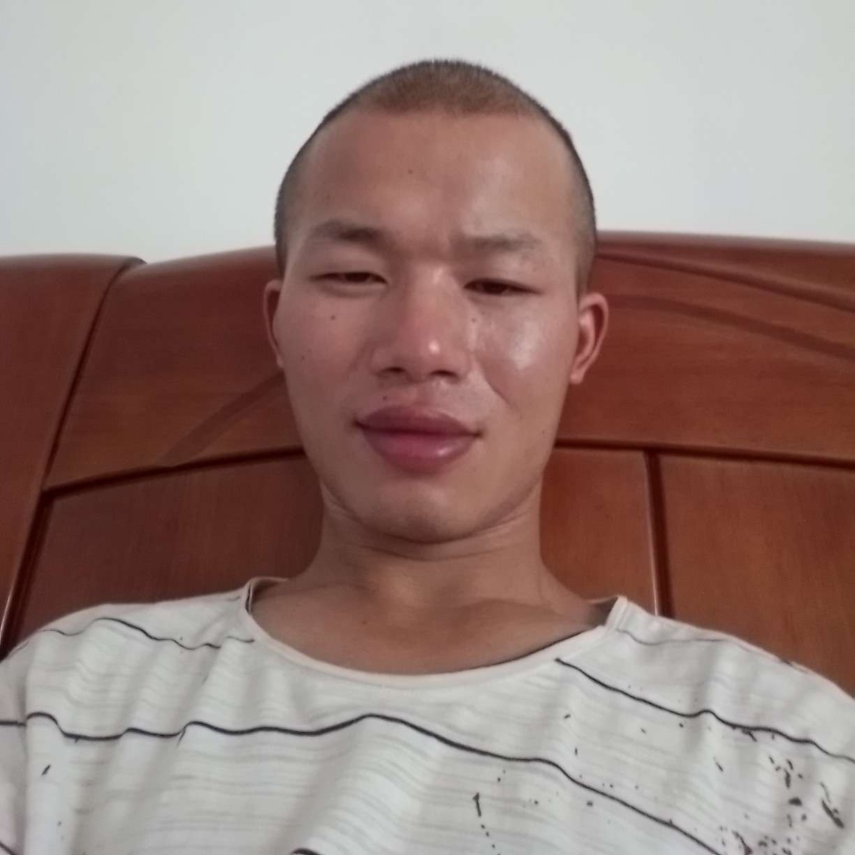老鼠等待丰富的照片