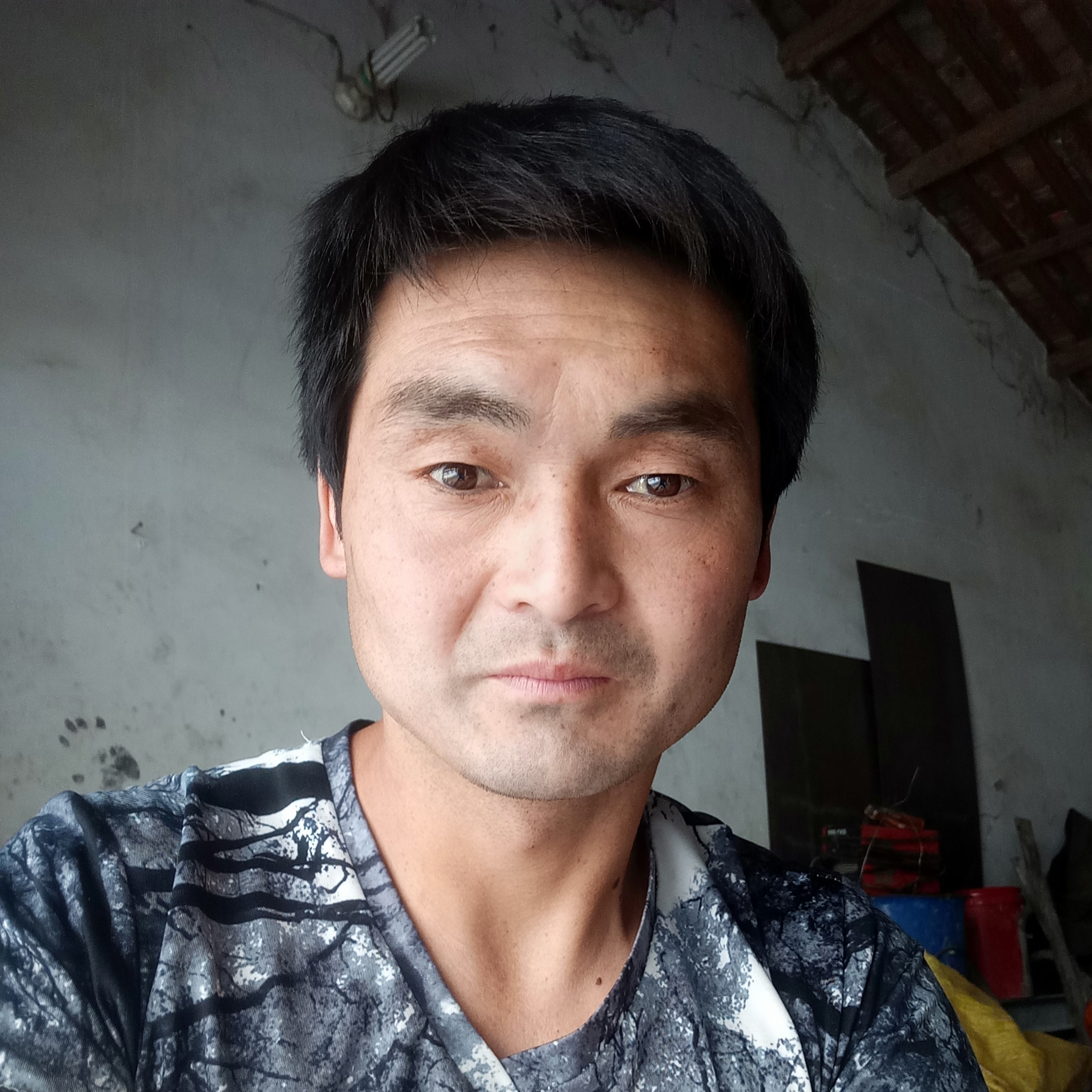 保松的照片