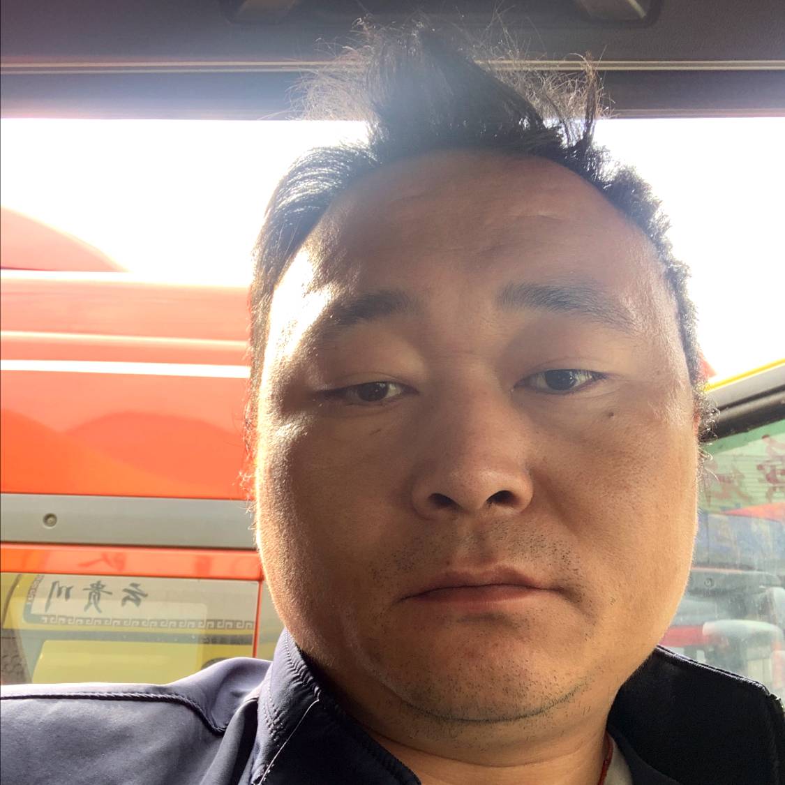 落后演变鱼的照片