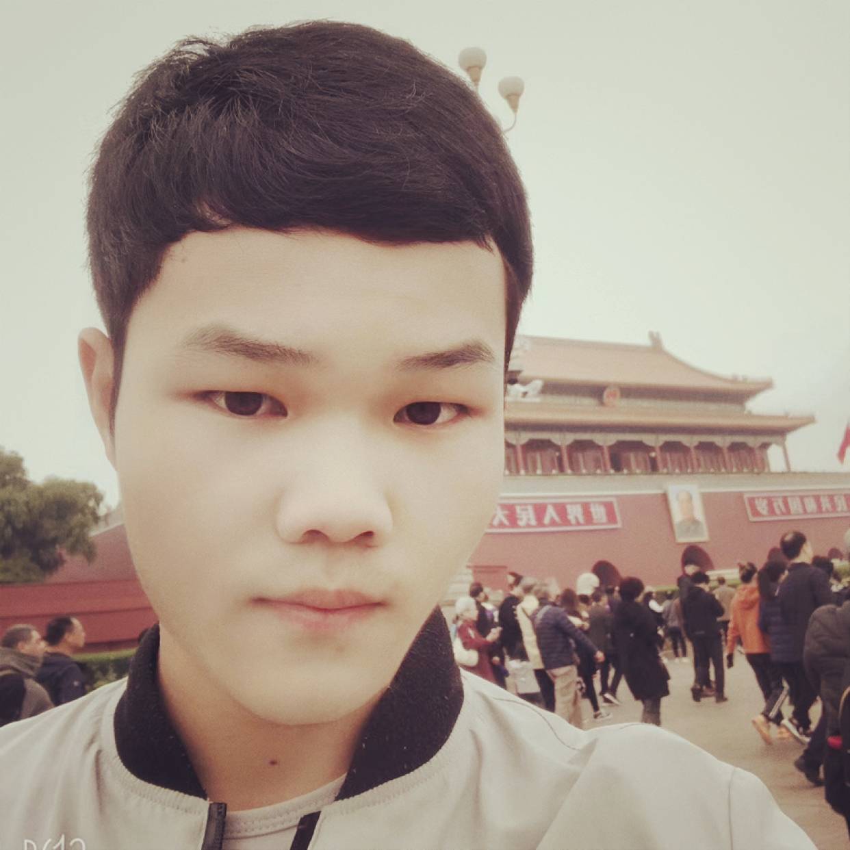 森槿激昂?的照片