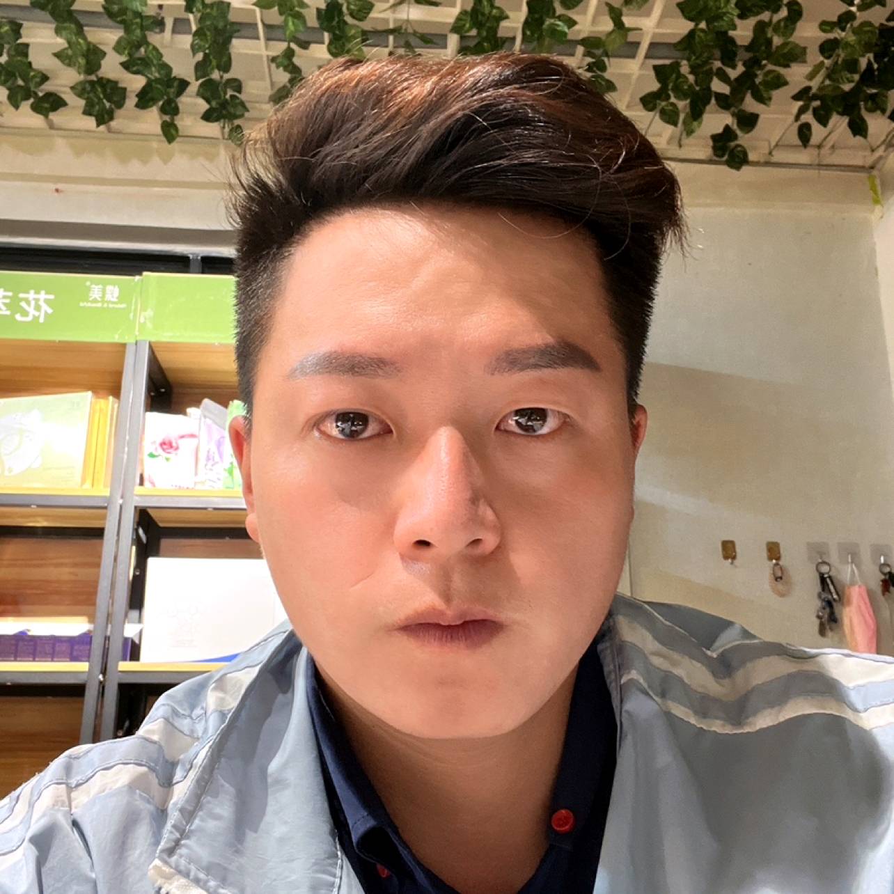 森林的小树的照片