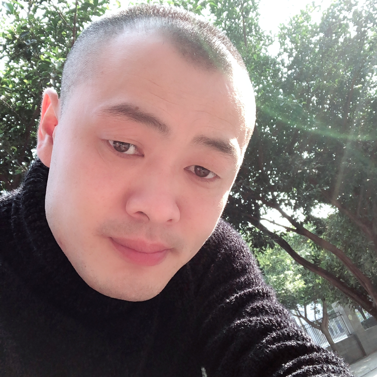 现代邂逅蜗牛的照片