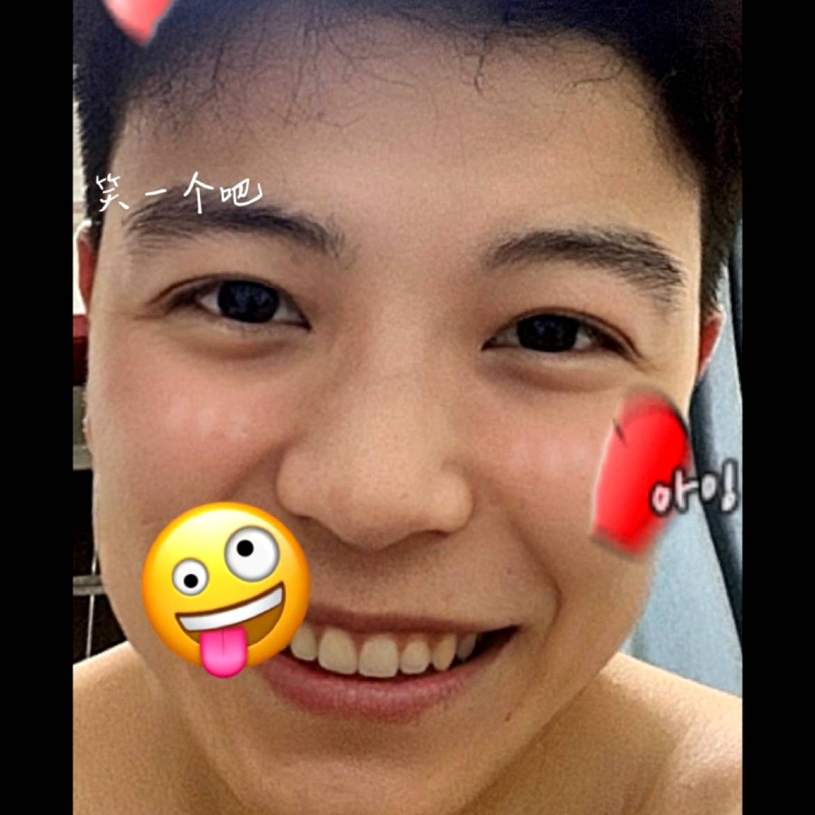 特特与狗的照片