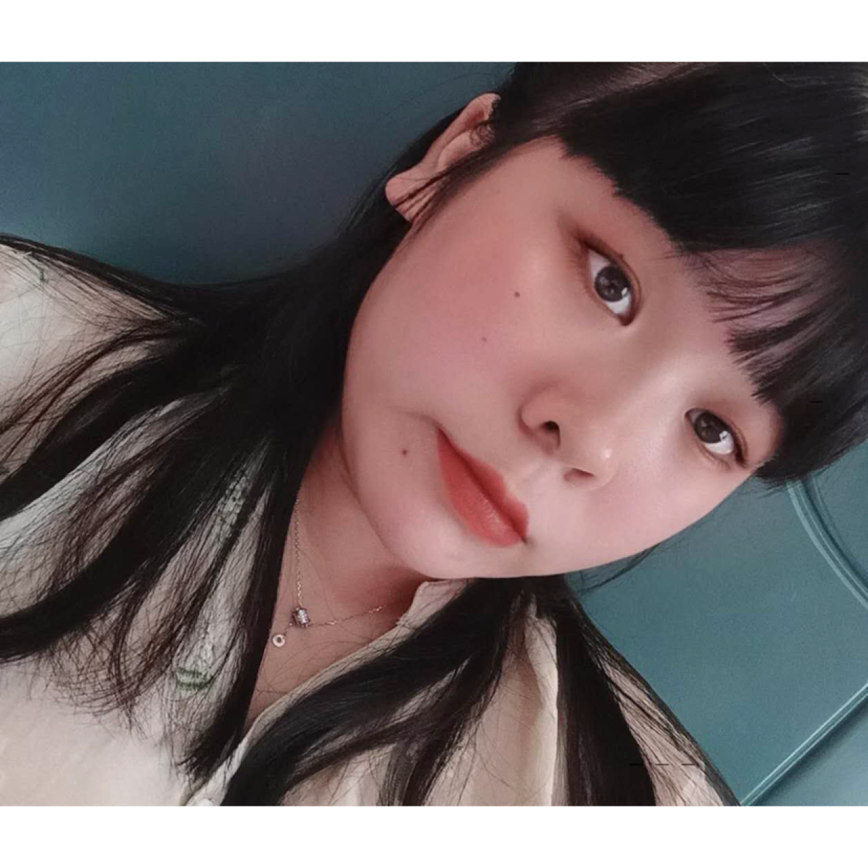 鹿的照片