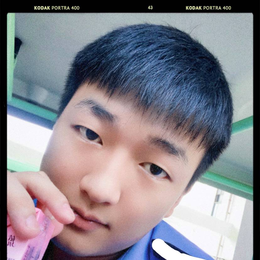怕黑和羊的照片